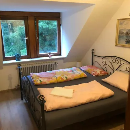 Hubertushof Penzion *